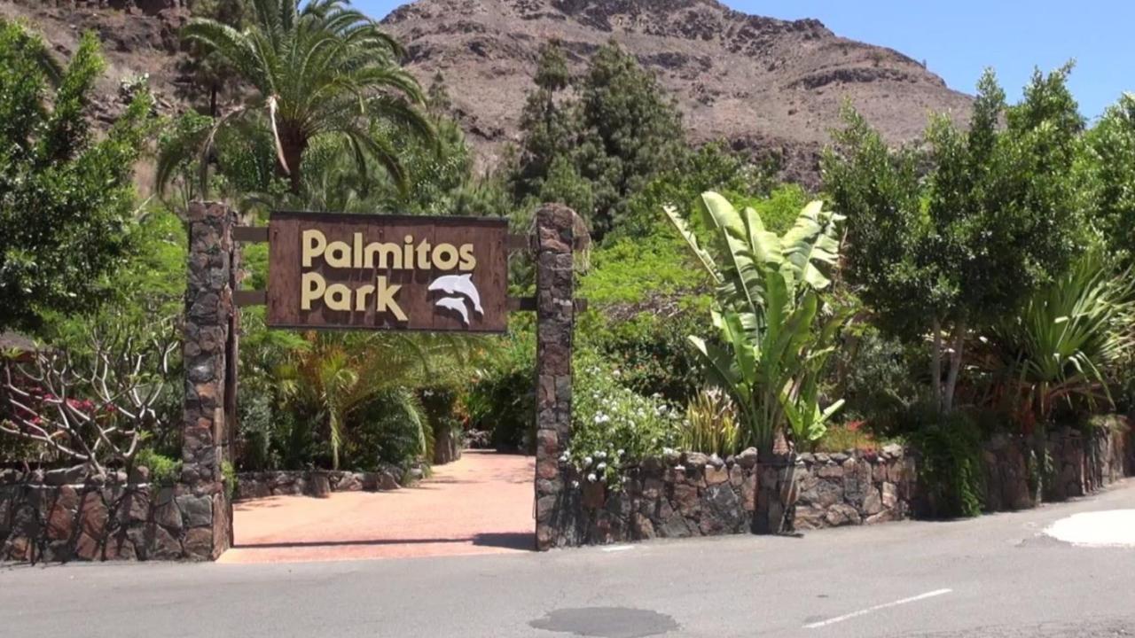 Apartment El Nido De Los Angeles Maspalomas (Gran Canaria)