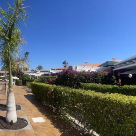 Apartament Verdemar Maspalomas Maspalomas (Gran Canaria)