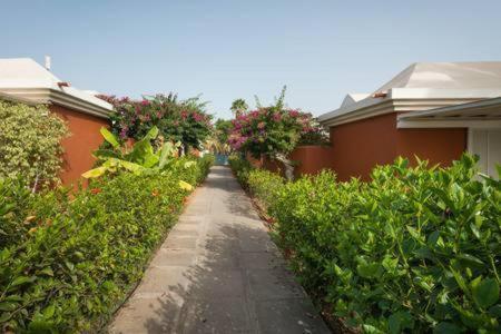 Melocotones In Maspalomas - Playa Del Ingles Maspalomas (Gran Canaria)