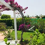Home Villas Del Sol