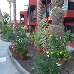 Sunsea