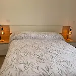 Oasis Harmony