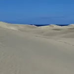 Golden Solymar