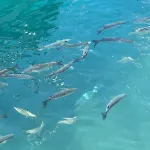 Piso Paraiso Vicino Al Mare