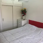 Iguazu Pdi