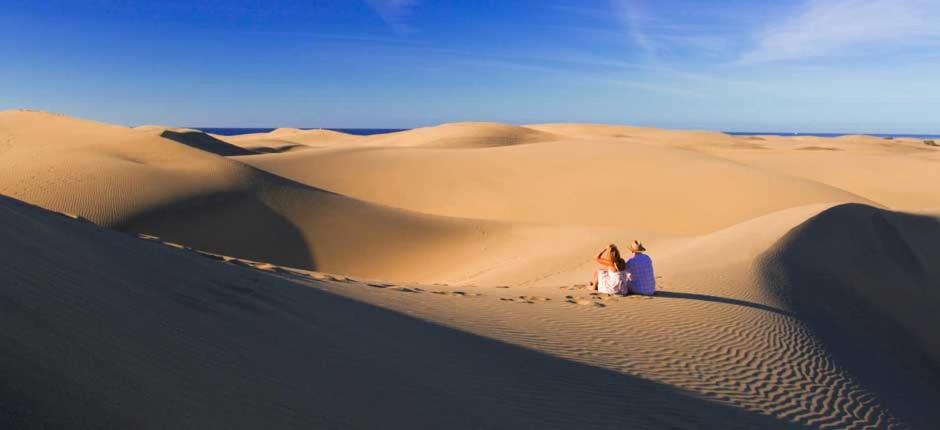 Playa Flor, Campo Internacional, Maspalomas. Maspalomas (Gran Canaria)