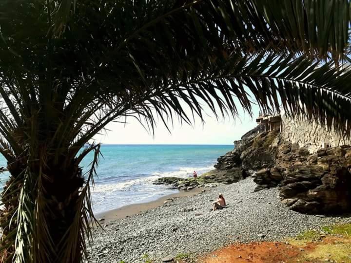 Sunsea *