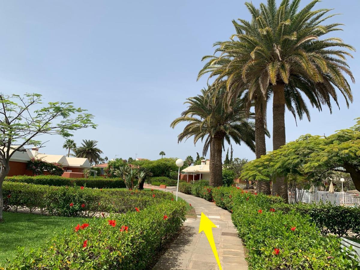 Flamboyant Tree Garden