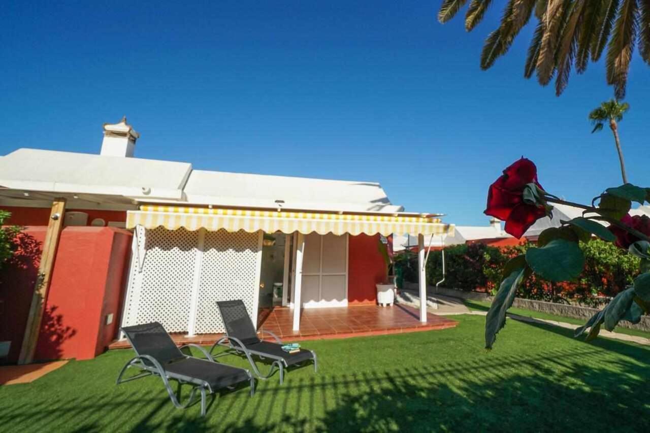 Albaricoques Maspalomas (Gran Canaria)
