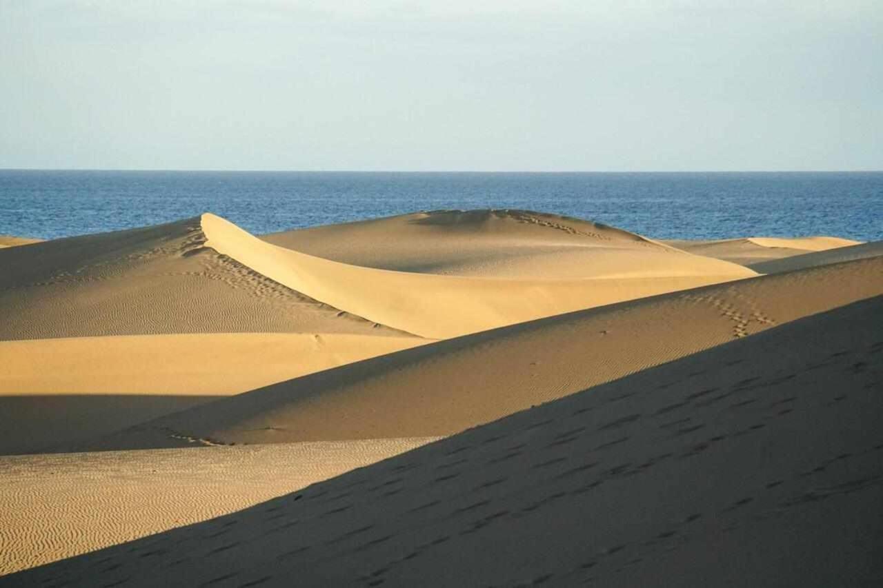 Loma-asunnot Albaricoques *