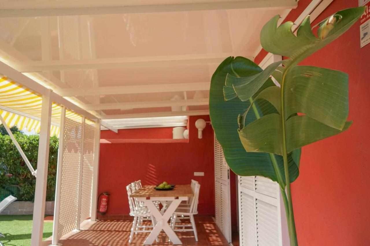 Albaricoques Maspalomas (Gran Canaria)
