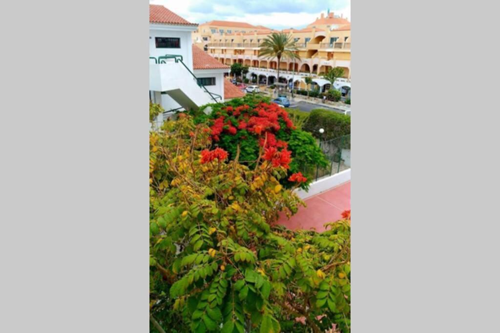 Surycan, Beautiful In Maspalomas Huoneisto Maspalomas (Gran Canaria)
