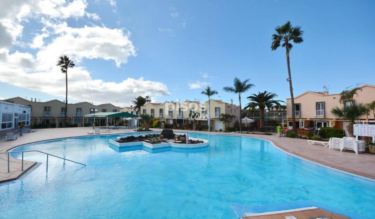 Maspalomas Oasis Maspalomas (Gran Canaria)