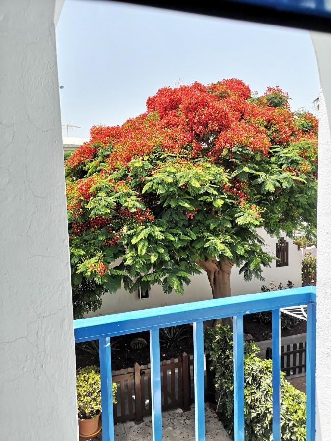 Holiday home Maspalomas Casa La Loba