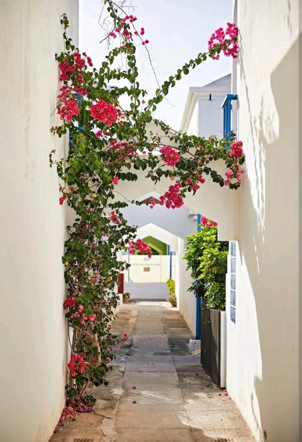 Maspalomas Casa La Loba Holiday home *