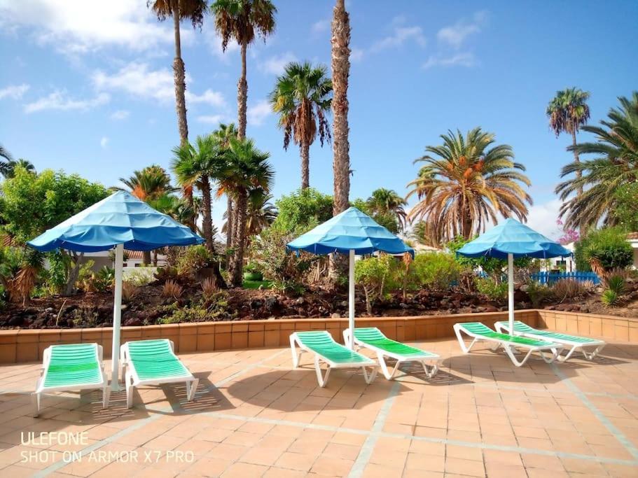 Tropical Con Piscina Y Aire Acondicionado * Maspalomas (Gran Canaria)