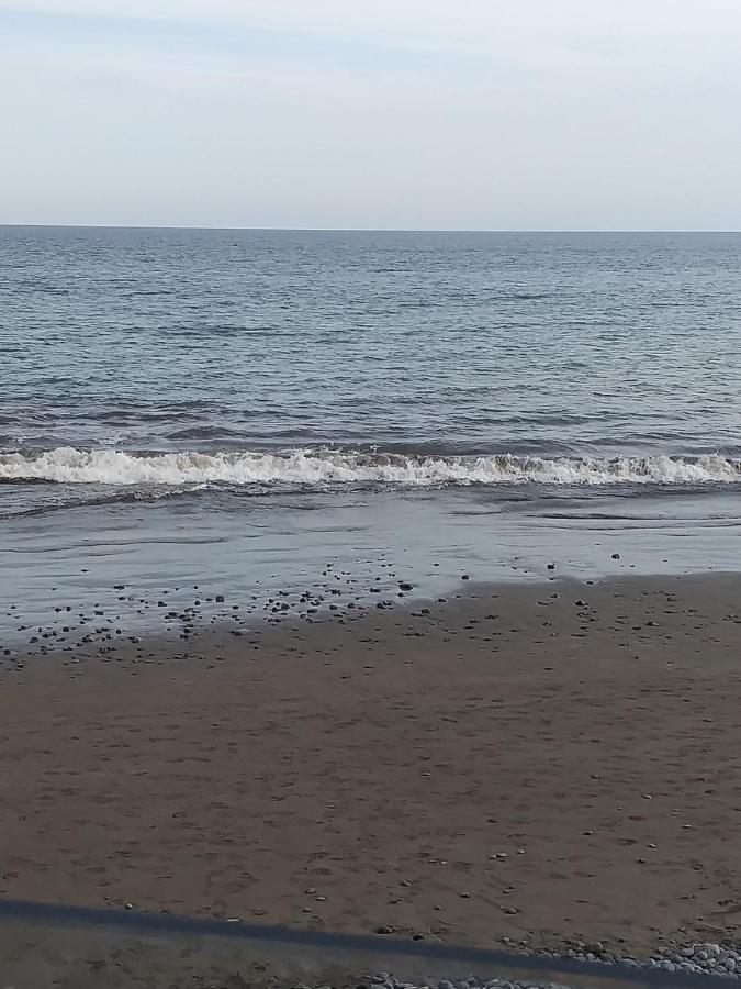 Sunsea *