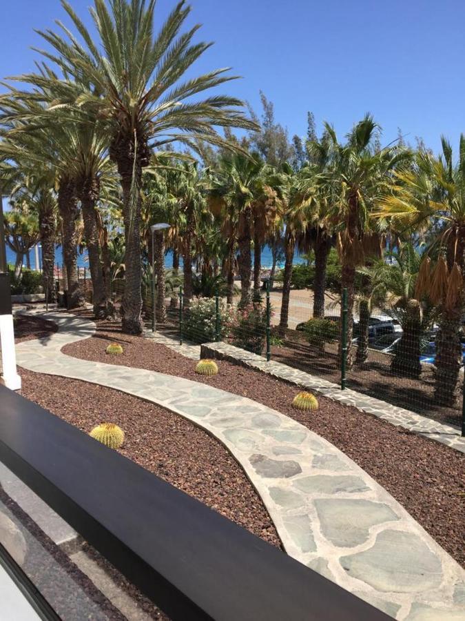 Testeina Playa San Agustin