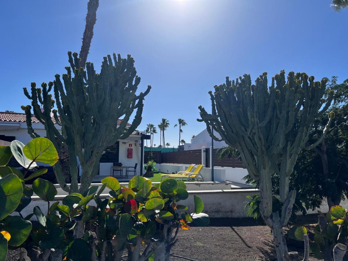 Lomamökit Escarabajo Il Maggiolino Maspalomas (Gran Canaria)