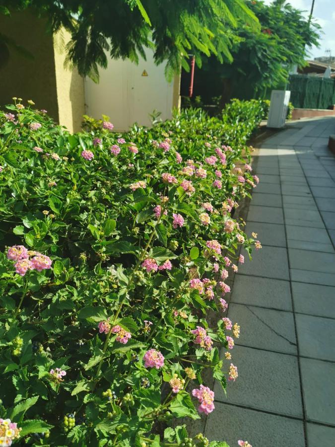 Aquarium Private Jacuzzi, 3 Bedrooms, Ac And Bikes Appartement *