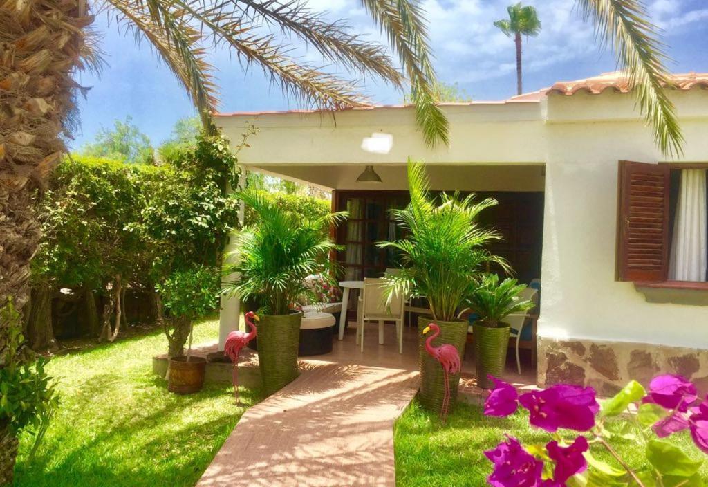 Luxury Bungalow”paradise Birds” Maspalomas (Gran Canaria)
