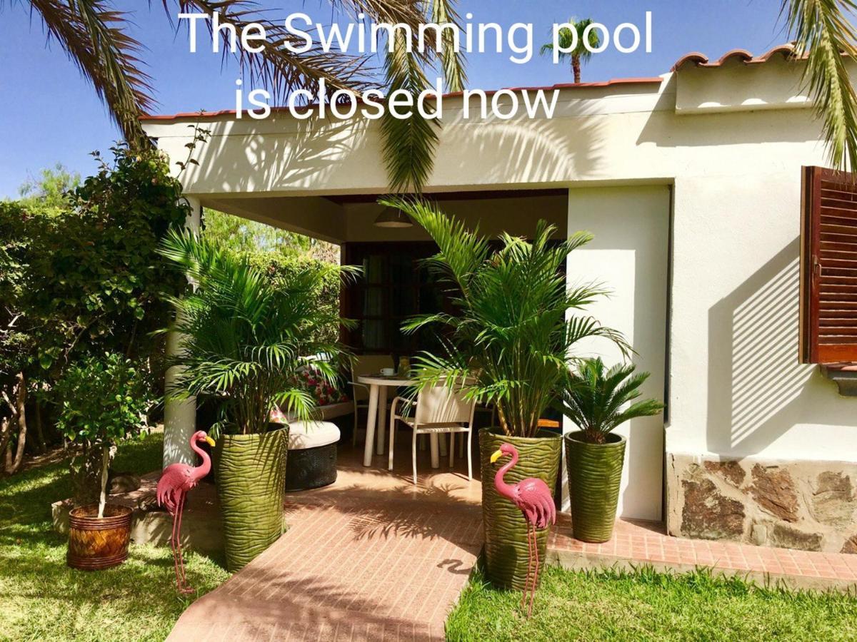 Luxury Bungalow”paradise Birds” Apartment Maspalomas (Gran Canaria)