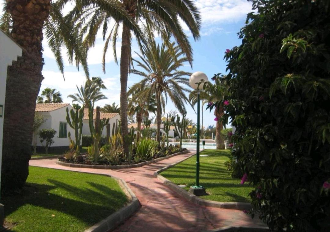 Maspalomas Dunas Golf *
