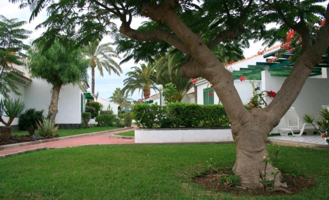 Holiday home Maspalomas Dunas Golf