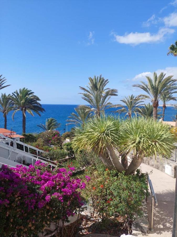 Apartment La Casa De La Playa San Agustin Maspalomas (Gran Canaria)