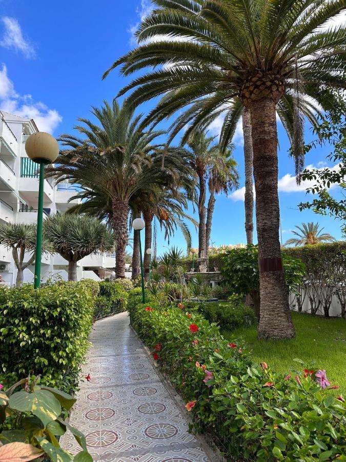 Apartment Surycan Vista Dunas Maspalomas (Gran Canaria)