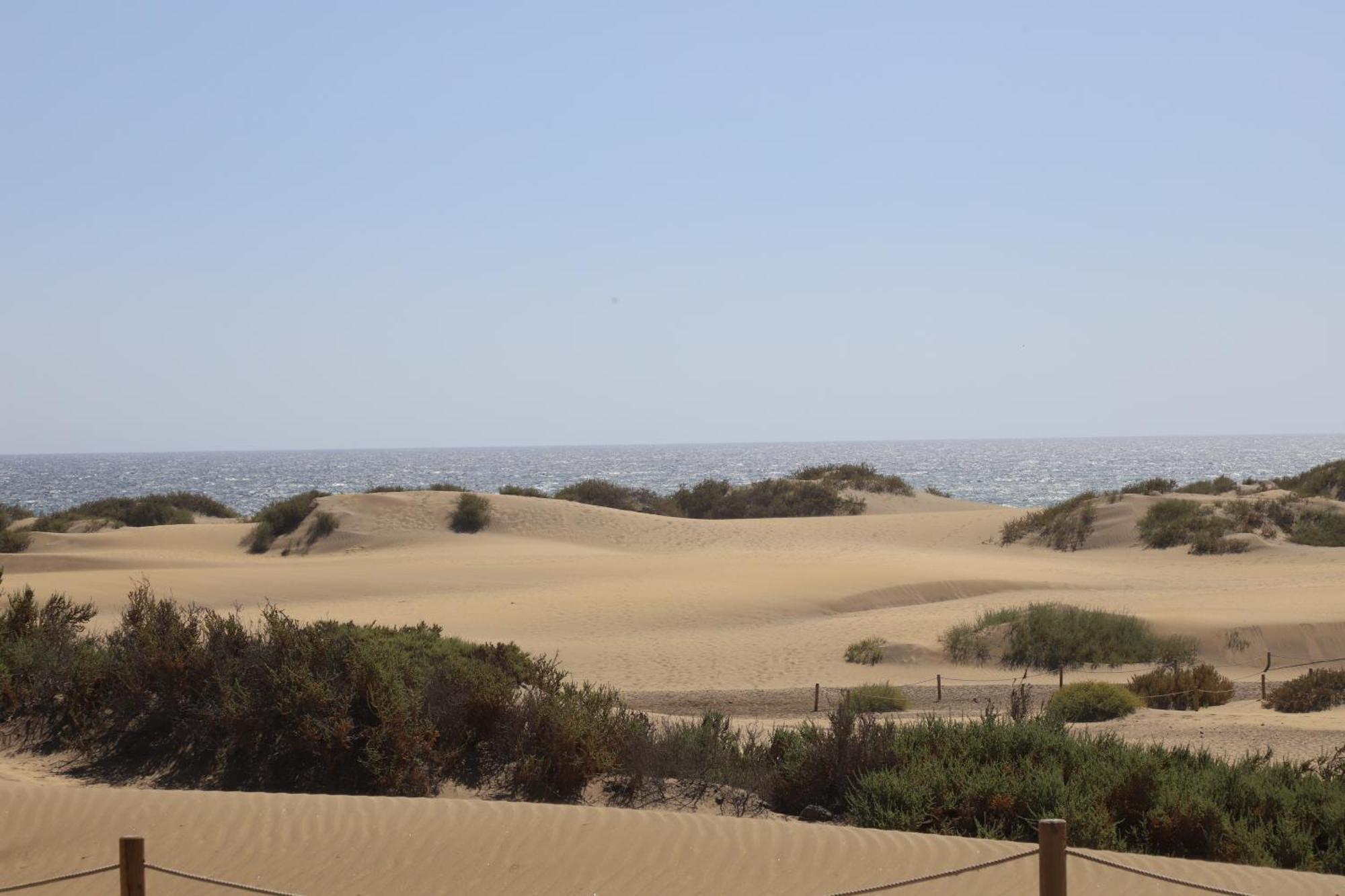 Apartment Confortevole Playa Del Ingles Maspalomas (Gran Canaria)