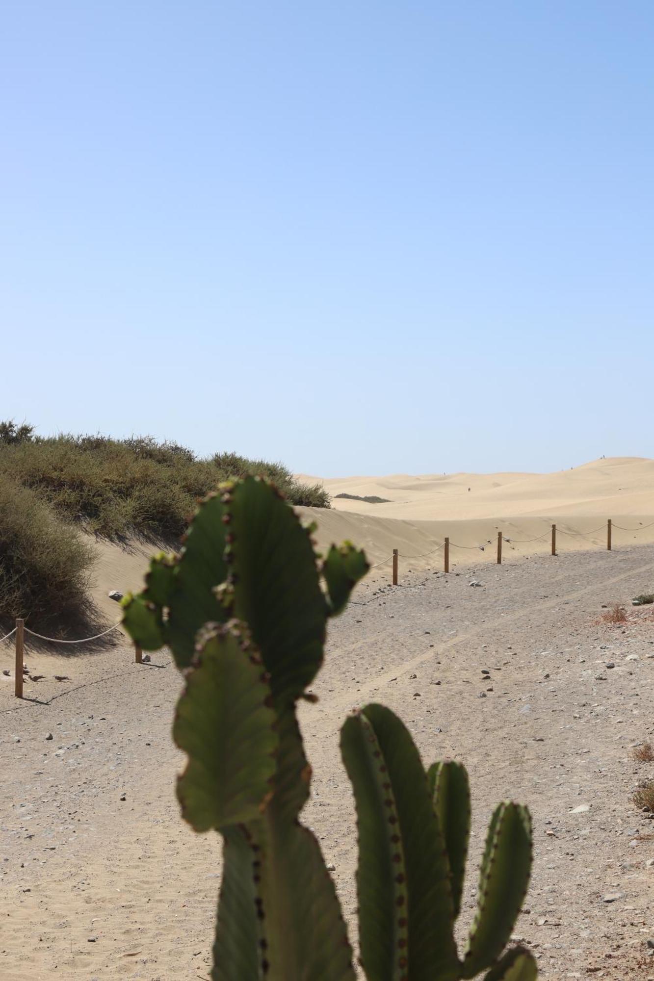 Confortevole Playa Del Ingles Apartment Maspalomas (Gran Canaria)
