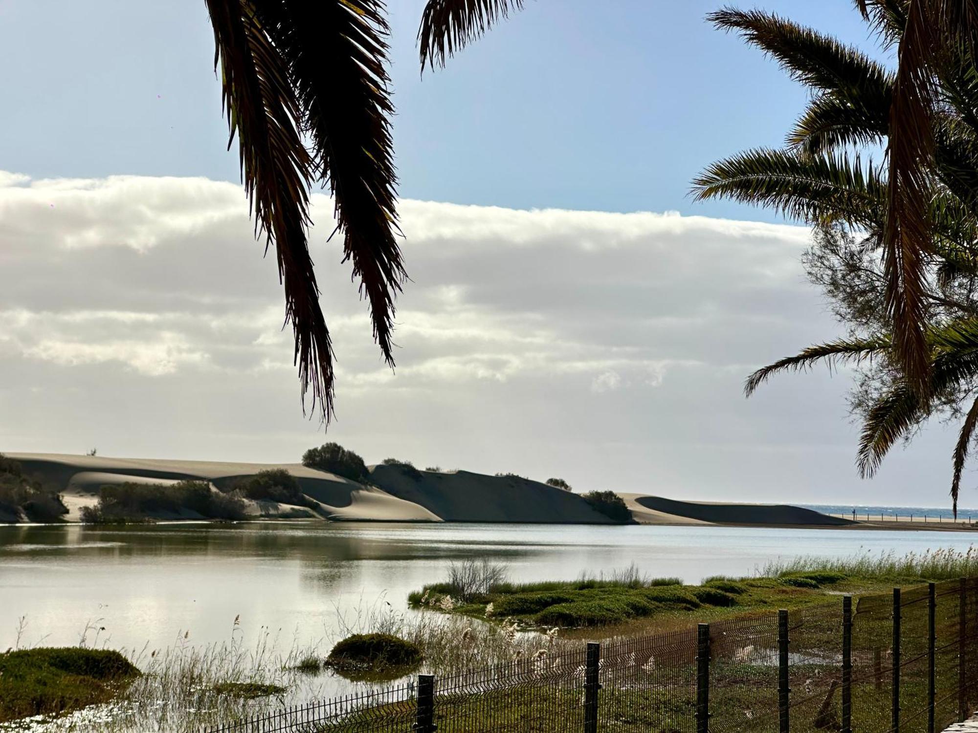 Sunrise * Maspalomas (Gran Canaria)