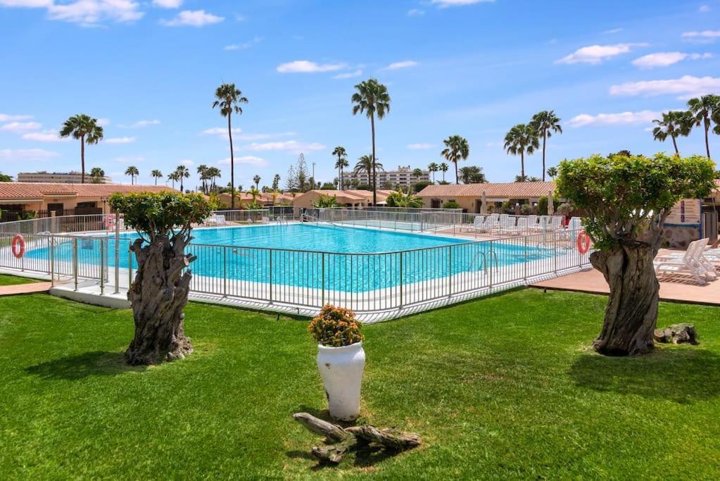 Cactus Casa de férias Maspalomas (Gran Canaria)
