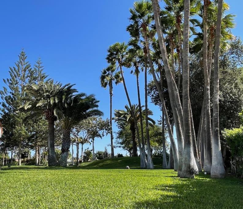 Loma-asunnot Luxury Palm Beach Bungalow *