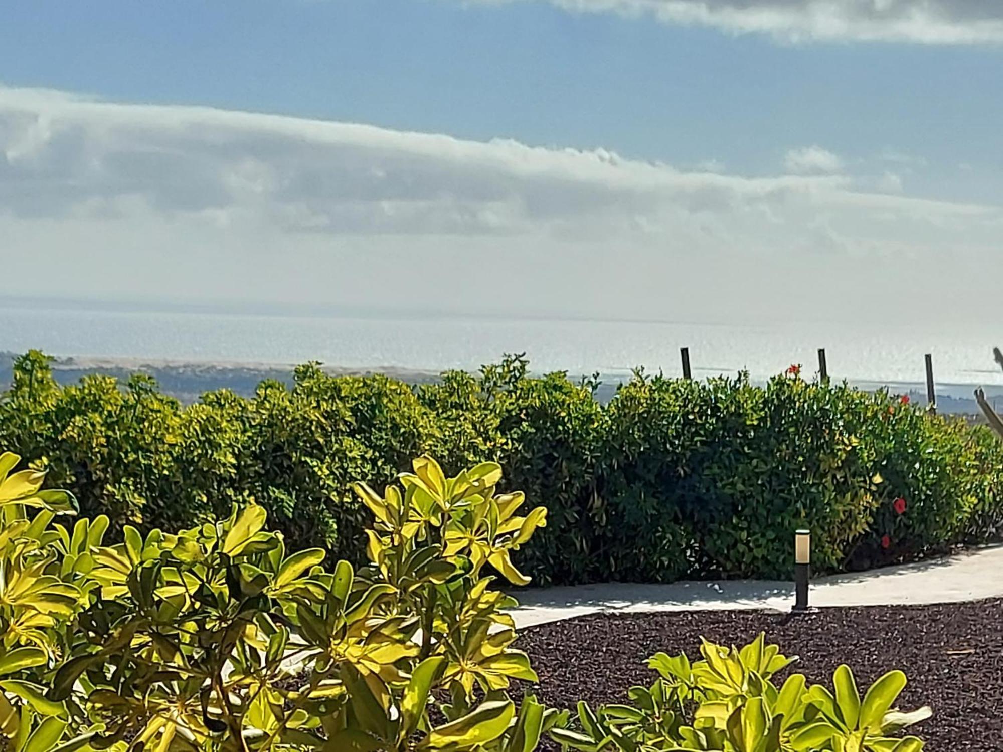 Landhaus The Black Horse Canarias - Adults Only *
