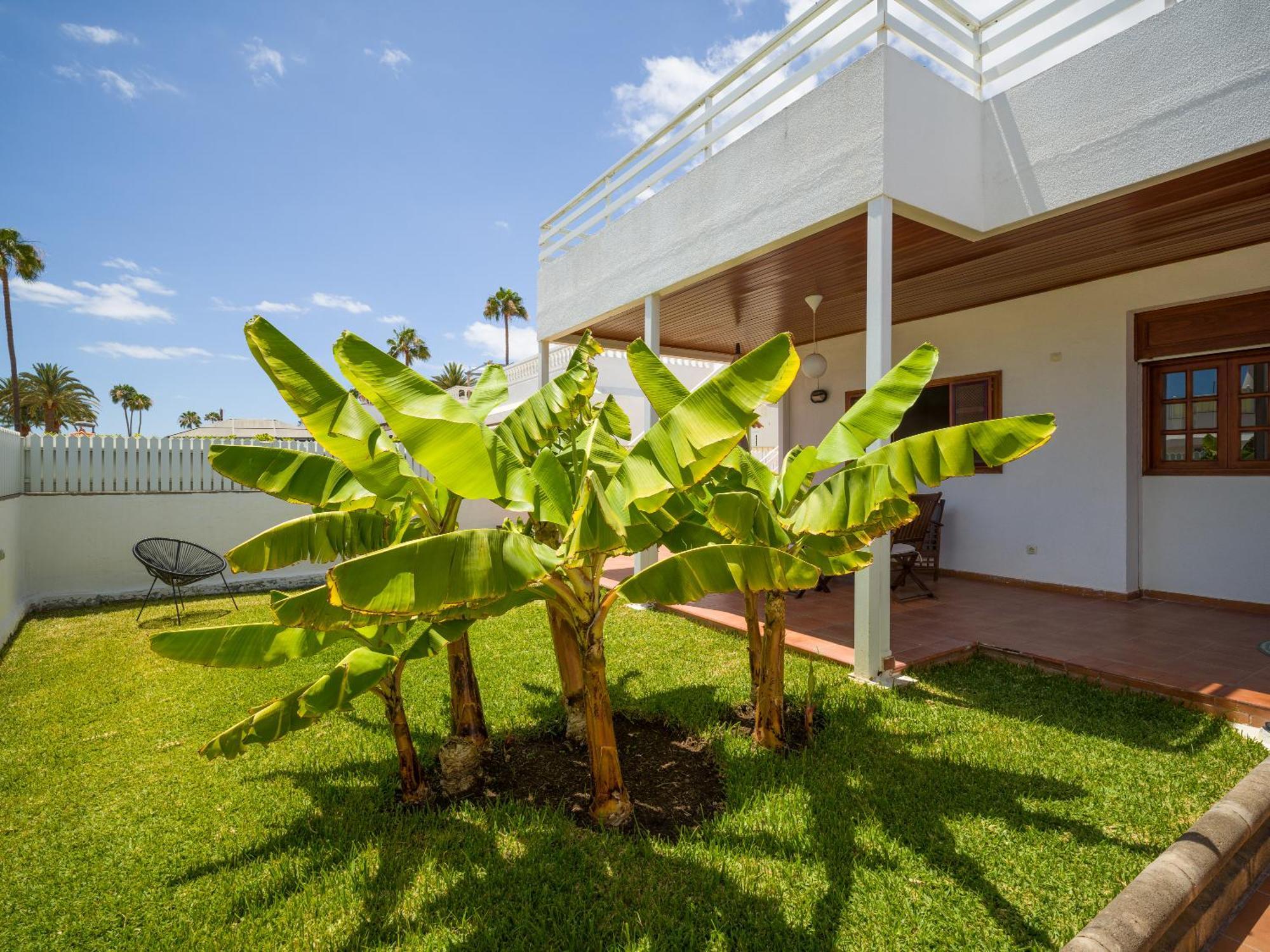Banana House In Location By Tenpropertiesgc Vakantiehuis Maspalomas (Gran Canaria)