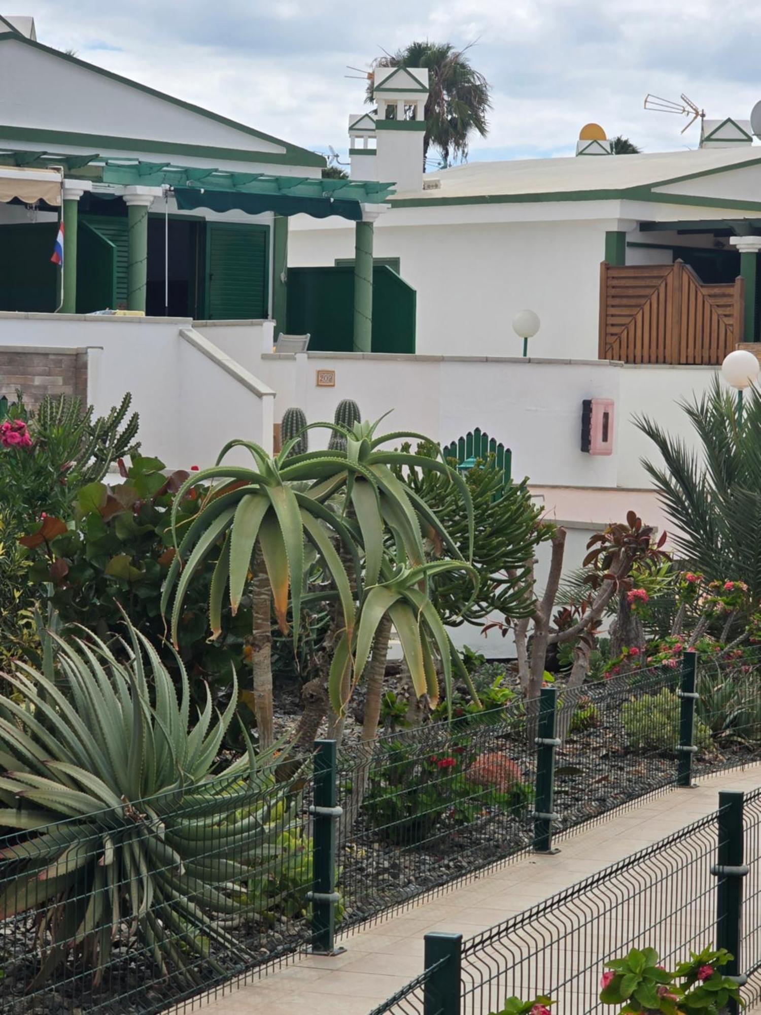 The Sunflower Apartamento *