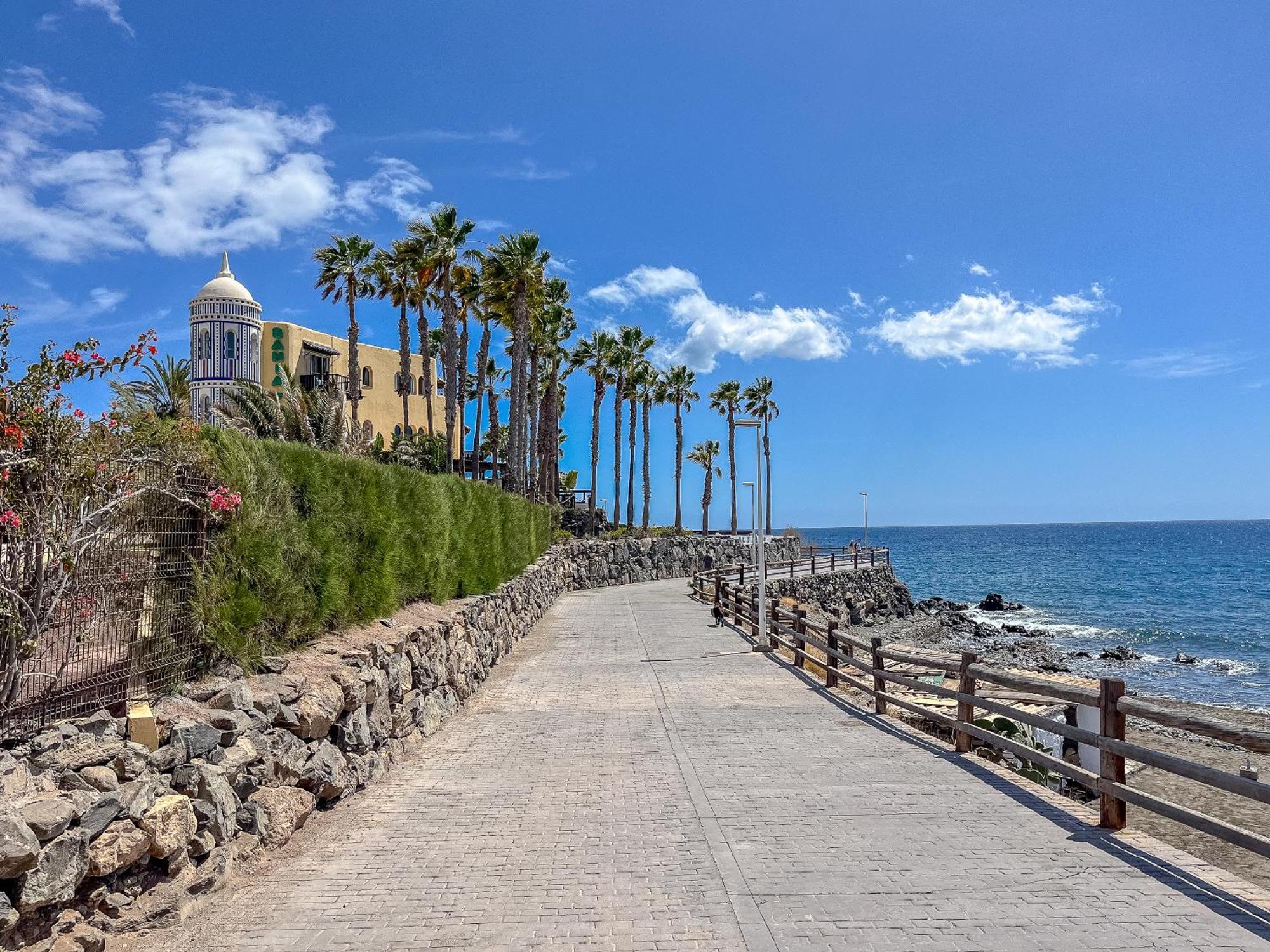 Playa Del Aguila Con Terraza Solarium