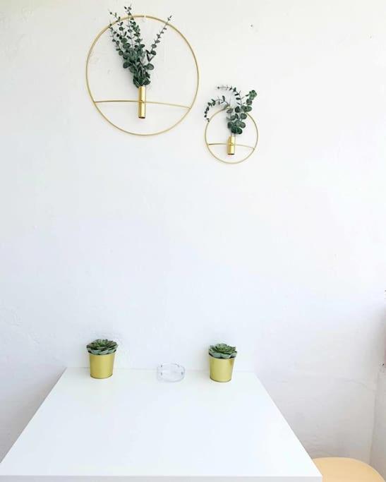 Apartment Habitat Tropical