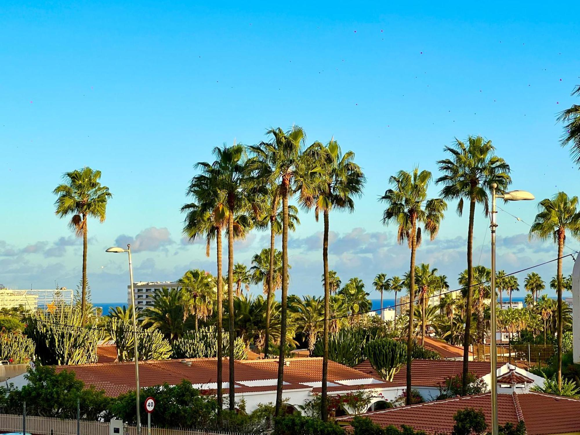 Beautiful 2-bed In Maspalomas Near Yumbo *