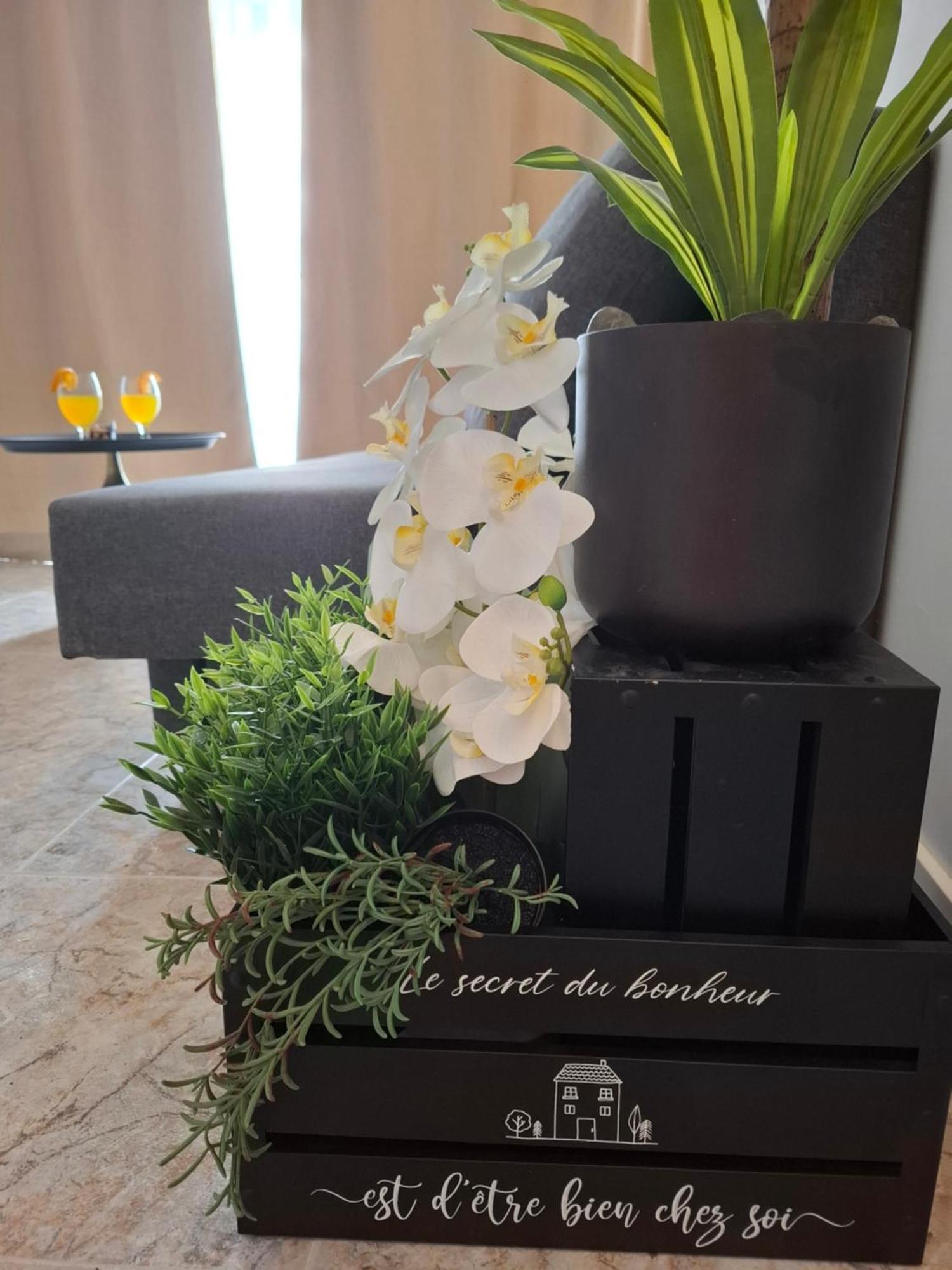 Golden Solymar Apartment *