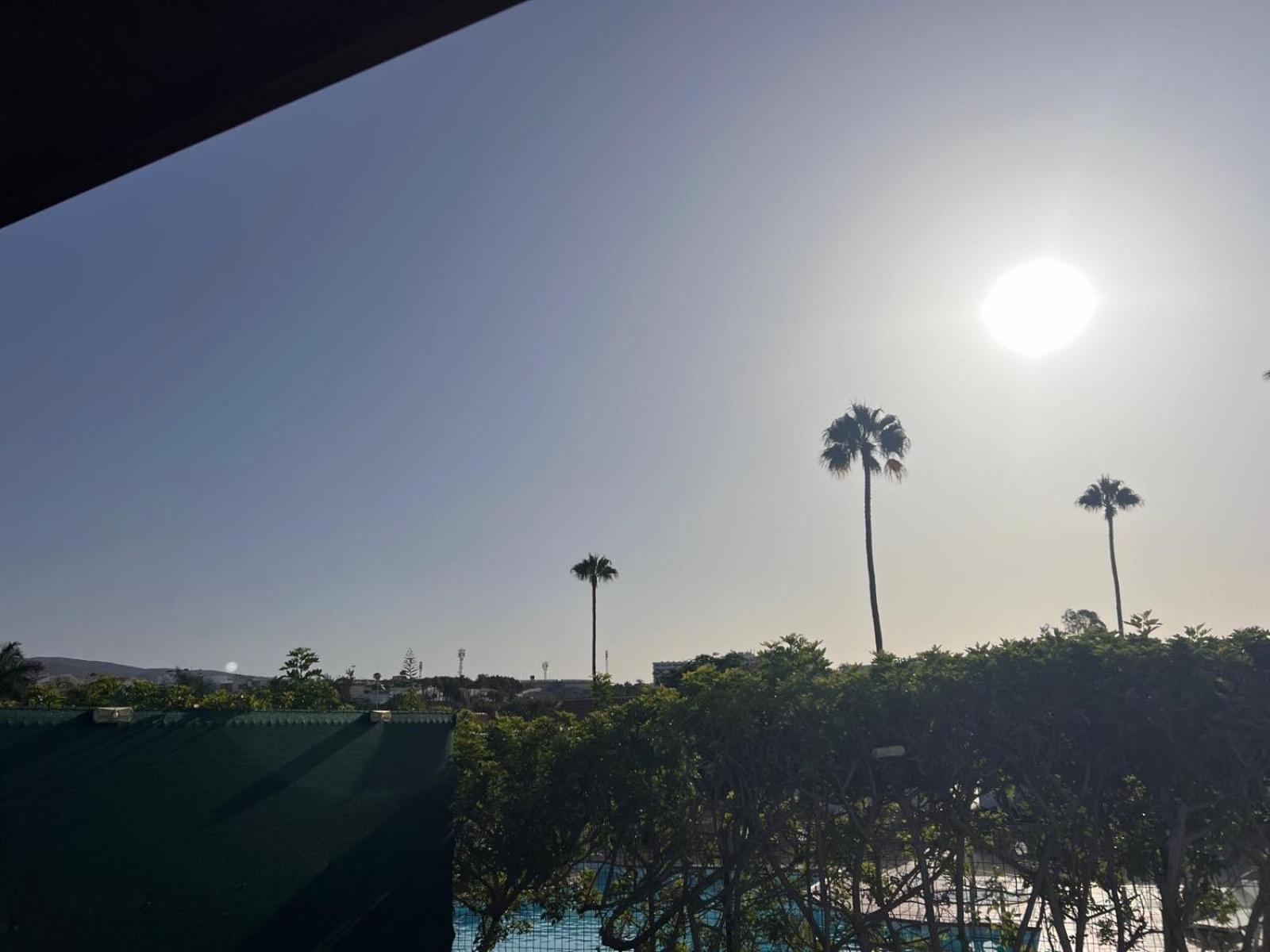 Sunrise Palomas