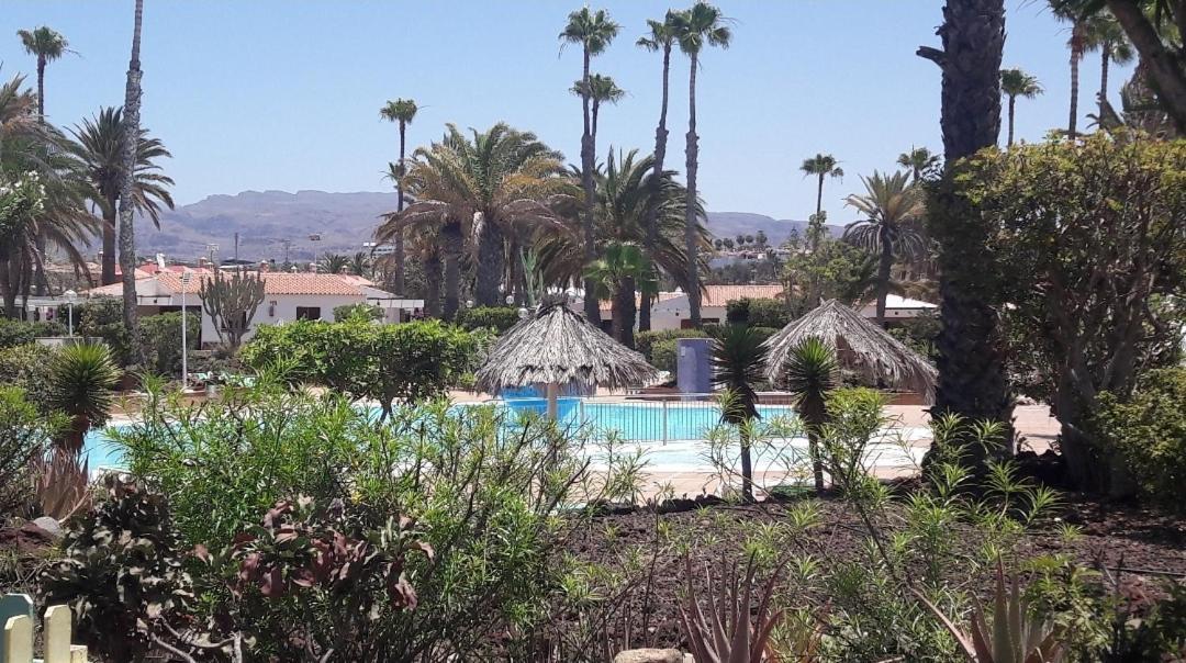 Apartamento Vegas Golf Maspalomas (Gran Canaria)
