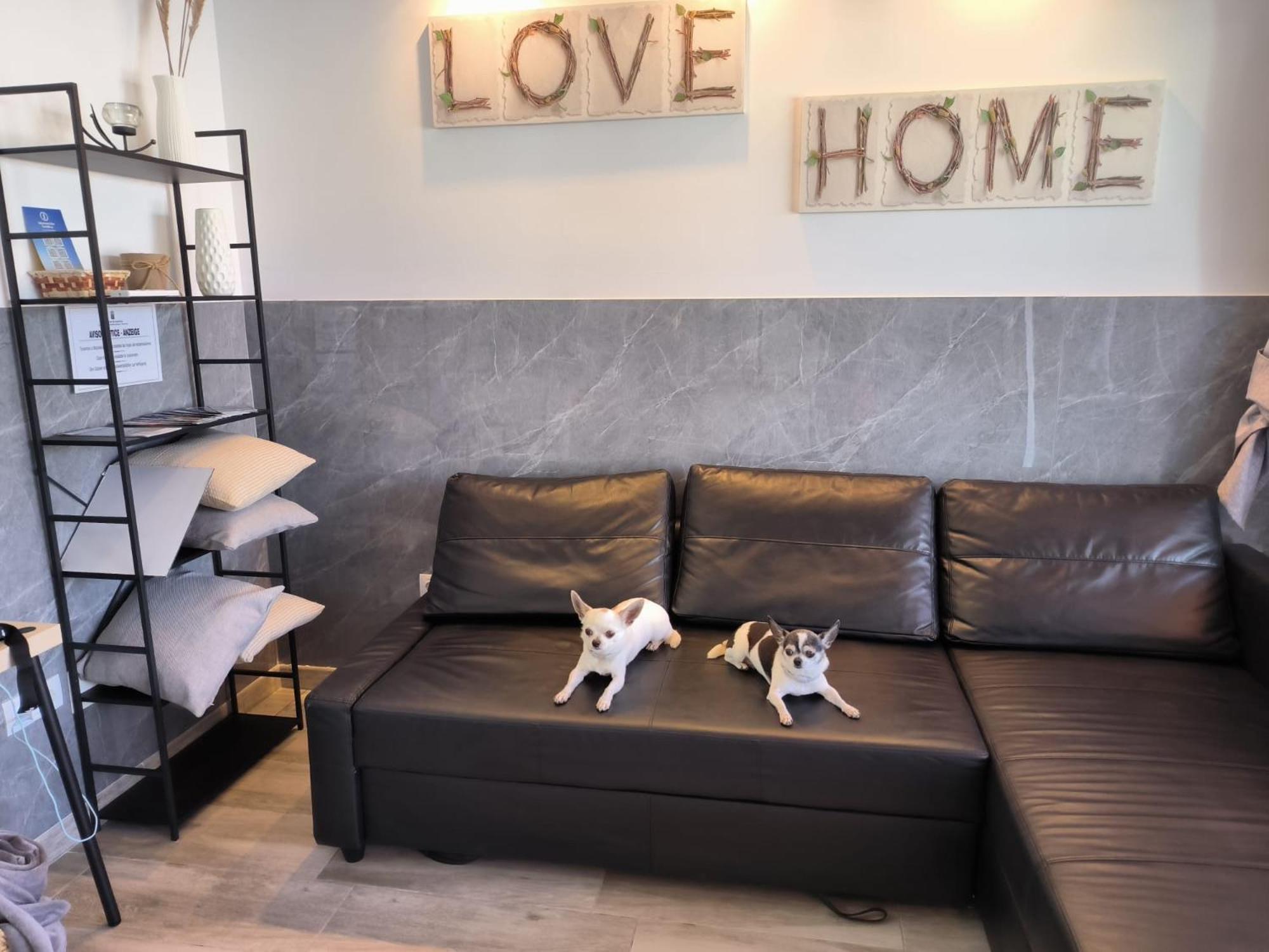 Appartement Kim House *