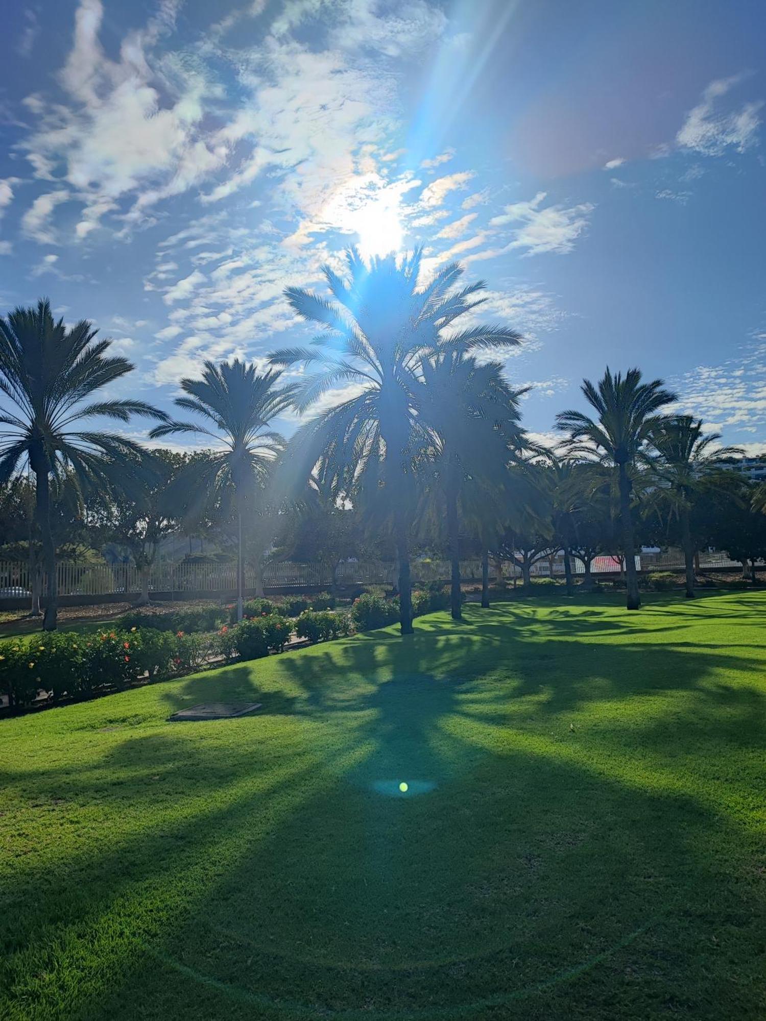 Piso Paraiso Vicino Al Mare * Maspalomas (Gran Canaria)
