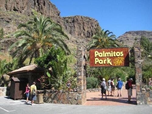 Apartment The Ravine House Maspalomas (Gran Canaria)