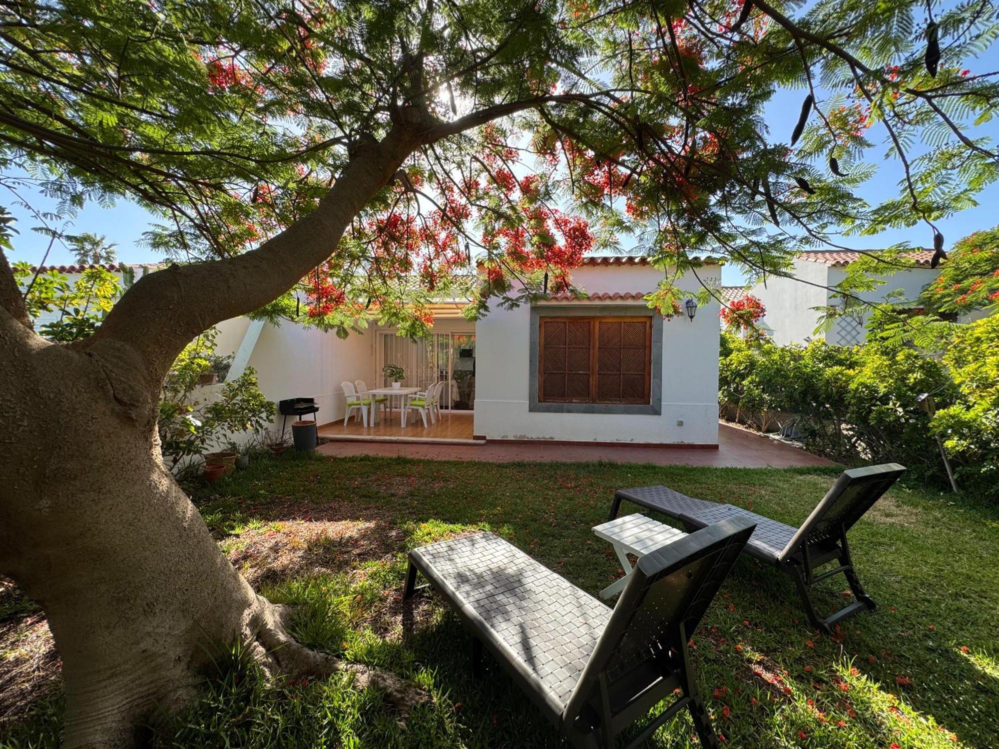 Deluxe Solycan - By Gestion Vacacional Canarias Vakantiehuis