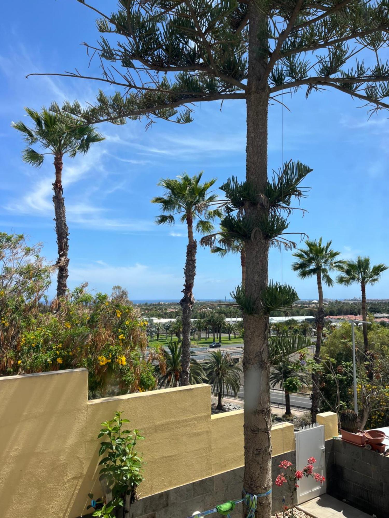 Apartamento Double With Private Bathroom In Shared With Distant Sea View Maspalomas (Gran Canaria)