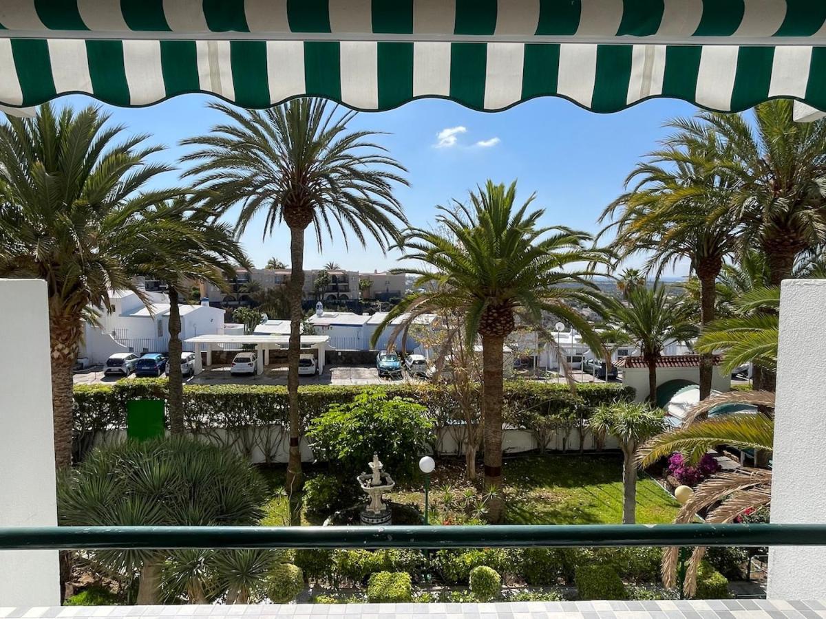 Palm Tree View *